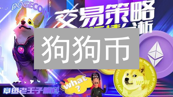 狗狗币：模因币的逆袭？投资的机遇与风险
